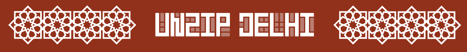 Unzip Delhi wordmark framed by repeating geometric stars